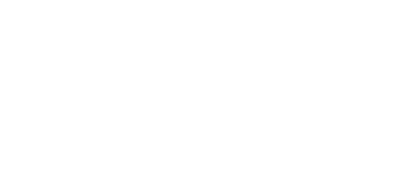 logo Mini