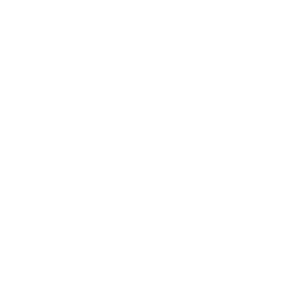 logo TOYOTA